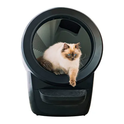 Selvrensende kattetoalett Litter-Robot 4