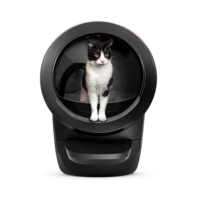 Selvrensende kattetoalett Litter-Robot 4