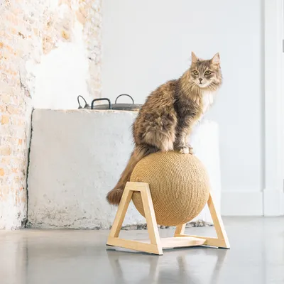 Katzenspielzeug: Kratzball aus Sisal auf Holzgestell, Katze sitzt oben. Geeignet für Krallenpflege und Spiel.