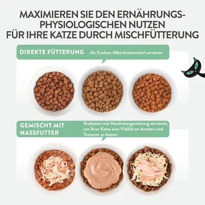Anleitung zur Mischfütterung für Katzen: Direkte Fütterung mit Trockenfutter oder gemischt mit Nassfutter, um Vielfalt an Aromen und Texturen zu bieten.