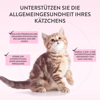 Unterstützen Sie die Allgemeingesundheit Ihres Kätzchens: DHA für Gehirn- und Augenentwicklung, Kürbis für gesunde Verdauung, Omega-3 und -6 für Haut- und Fellgesundheit.