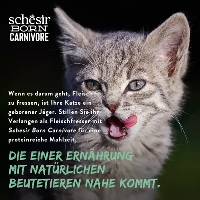 Schesir Born Carnivore. Stillen Sie das Verlangen Ihrer Katze nach Fleisch mit einer proteinreichen Mahlzeit, die einer Ernährung mit natürlichen Beutetieren nahekommt.