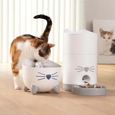 Trinkbrunnen und Futterspender mit Katzendesign. Trinkbrunnen zeigt fliessendes Wasser, daneben Futterspender mit Trockenfutter in Schale. Katze trinkt aus dem Brunnen.