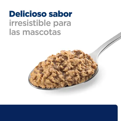 Delicioso sabor irresistible para las mascotas, texto visible junto a una cuchara con comida húmeda para mascotas.