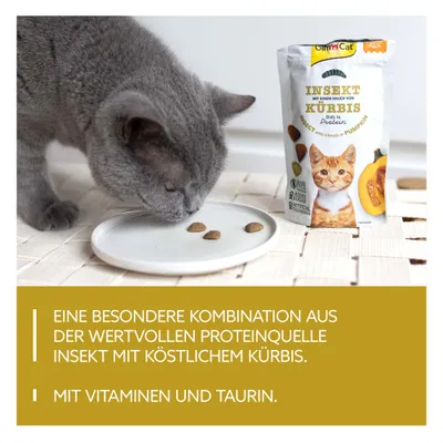 GimCat Crunchy Snacks - Insekt & Kürbis (50 g) GimCat Crunchy Snacks - Insekt & Kürbis (50 g)