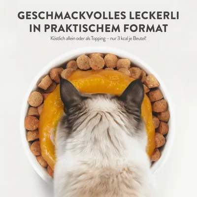 Geschmackvolles Leckerli in praktischem Format. Köstlich allein oder als Topping – nur 3 kcal je Beutel! Katze vor Schüssel mit gelbem Topping und Trockenfutter.