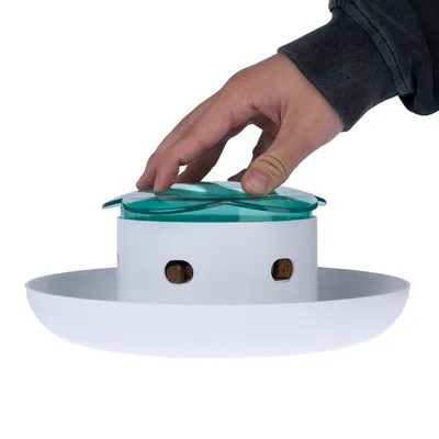 Hand drückt auf grünen Deckel eines weissen Futterspenders mit Sichtfenstern für Leckerlis.