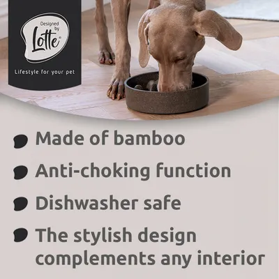 Ciotola ant-iingozzamento per cani in bambù Designed by Lotte