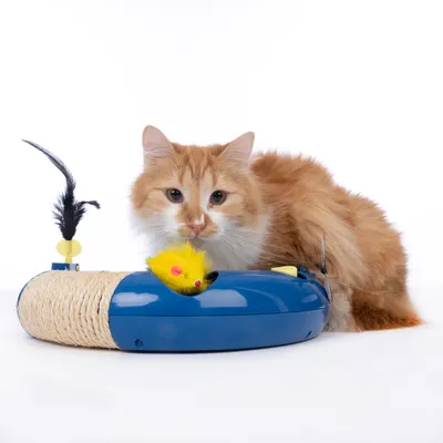 Toy for cats: Blue interactive device with yellow plush mouse and black feather. Red cat watches the toy.