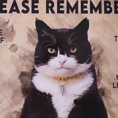Schwarz-weisse Katze mit gelbem Halsband vor beigem Hintergrund. Text: 'Please remember'. Weitere Details nicht lesbar.
