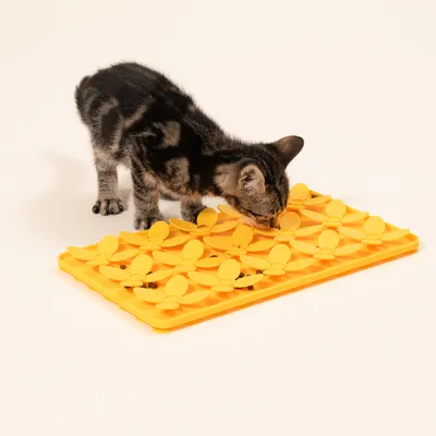 Modern Living Margarita Island nyalószőnyeg Modern Living Margarita Island nyalószőnyeg