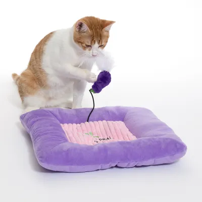 Katzenbett in Lila mit rosa Innenfläche, Katze spielt mit lila Spielzeug an einer Schnur. Produkt zeigt Nutzung des Betts und Spielzeugs.