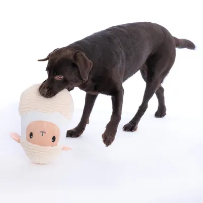 Bruine hond speelt met een pluchen speeltje in de vorm van een schaap. Speeltje heeft crèmekleurige vacht en een gezicht met zwarte ogen en neus.