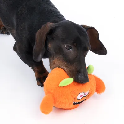 Hond speelt met oranje pluchen speelgoed in de vorm van een monster, zichtbaar zijn groene oren en een gezicht met ogen en mond.