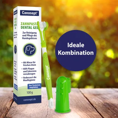 Canosept Zahnpasta Dental Gel mit Minze, empfohlen von Tierärzten. Enthält Zahnbürste und Fingerbürste zur Reinigung und Pflege des Hundegebisses. Ideale Kombination für frischen Atem.