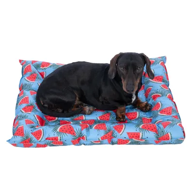 Cama para perro con funda azul y estampado de sandía, forma rectangular, acolchada.