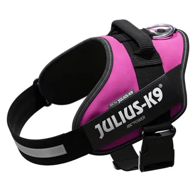 Julius-K9 IDC Power Hundegeschirr in Pink mit schwarzem Gurt und reflektierenden Elementen. Sichtbarer Metallring für Leinenbefestigung.