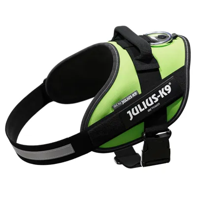 Julius-K9 IDC-Power Hundegeschirr in Grün mit schwarzem Gurt und reflektierenden Streifen, Metallring für Leine.