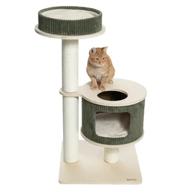 Árbol rascador de dos niveles, postes de sisal y tapizado de tela verde. Gato sentado en la plataforma superior.