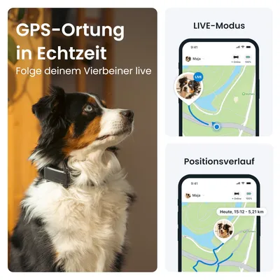 GPS-Ortung in Echtzeit. Folge deinem Vierbeiner live. LIVE-Modus und Positionsverlauf mit Karte und Streckenanzeige.