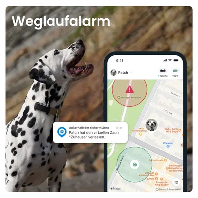 Weglaufalarm: Benachrichtigung zeigt, dass Patch den virtuellen Zaun 'Zuhause' verlassen hat. Karte mit markierten Zonen und Standort des Hundes sichtbar.
