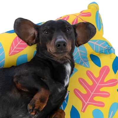 Pies leży na żółtej poduszce z kolorowym wzorem liści.