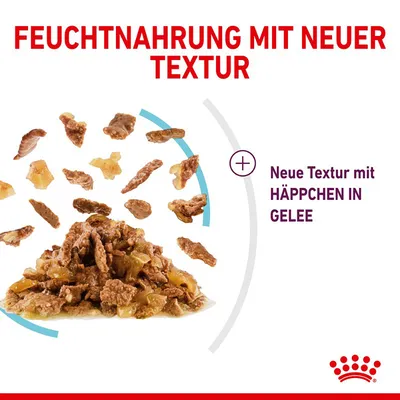 Feuchtnahrung mit neuer Textur. Neue Textur mit Häppchen in Gelee.
