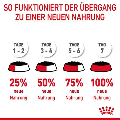 Übergang zu neuer Nahrung: Tage 1-2, 25% neue Nahrung; Tage 3-4, 50%; Tage 5-6, 75%; Tag 7, 100%. Diagramm mit Futternäpfen und Mengenangaben.
