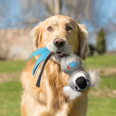 Giocattolo per cani a forma di koala con tessuto grigio, occhi blu e dettagli in peluche bianco. Nastri di stoffa blu attaccati.