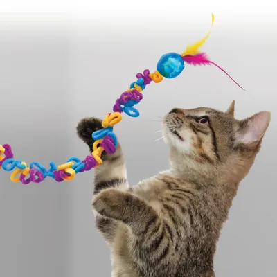 Chat tigré jouant avec une baguette à plume et boule bleue, ornée de spirales colorées en tissu. Jouet visible en main du chat, matériaux : tissu, plastique, plumes.