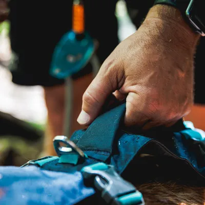 Hand pakt een stevige handgreep van een blauw hondentuigje met metalen ringen en gespen. Detailopname van het tuigje in gebruik.