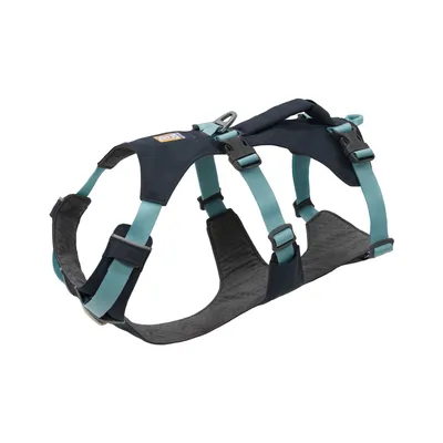 Hondentuig in blauw en turquoise met verstelbare banden, gevoerde binnenkant en metalen ring voor lijnbevestiging.