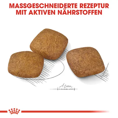 Trois croquettes carrées avec indication d’échelle de 1 cm. Texte en haut : MASSGESCHNEIDERTE REZEPTUR MIT AKTIVEN NÄHRSTOFFEN (allemand).