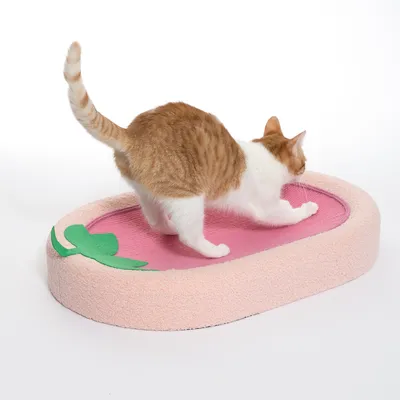 Ružičasta prostirka za grebanje za mačke sa zelenim motivom lista, mačka pokazuje funkciju grebanja.