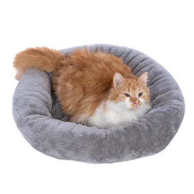 Gato macho de pelo largo rojo y blanco tumbado en una cama redonda gris para mascotas de tela suave.