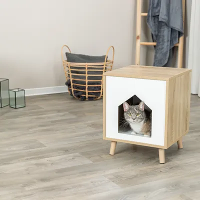 Wooden cat house with white front and star-shaped entrance, cat sitting inside. Modern design for indoor use.