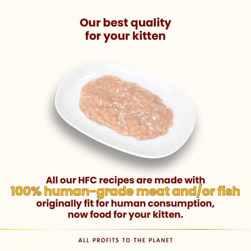 Almo Nature HFC Kitten Complete 6 x 70g