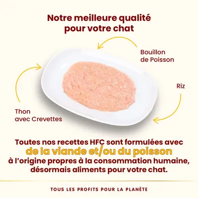Thon avec crevettes, bouillon de poisson et riz présentés sur une assiette. Texte : recettes HFC formulées avec viande et/ou poisson propres à la consommation humaine, aliments pour chat.