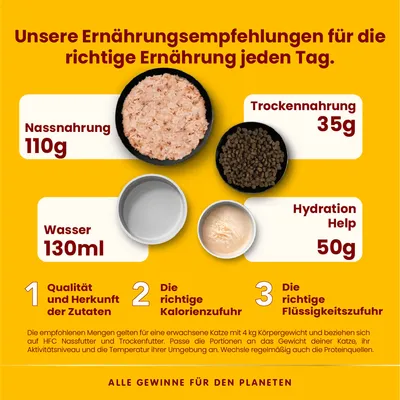 Ernährungsempfehlung für Katzen: Nassnahrung 110g, Trockenfutter 35g, Wasser 130ml, Hydration Help 50g. Hinweise zu Kalorienzufuhr, Flüssigkeitszufuhr und Zutatenqualität.