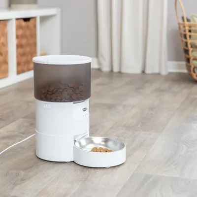 Automatische voerdispenser met witte behuizing, transparante container voor droogvoer en geïntegreerde roestvrijstalen schaal op houten vloer.