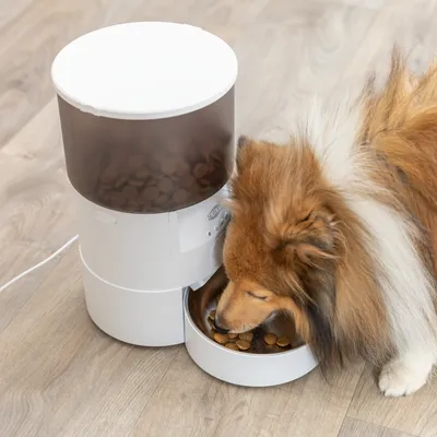 Automatische voerdispenser van Trixie met bruine brokjes, hond eet uit de voerschaal. Wit design, transparant voerreservoir.