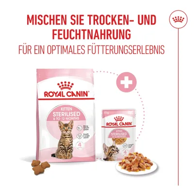 Royal Canin Sterilized Kitten in Gelee