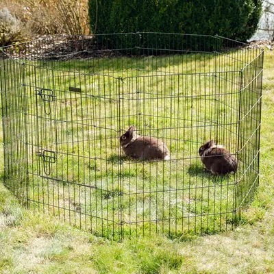Freigehege aus Metall auf einer Wiese, geeignet für Kleintiere. Zwei braune Kaninchen befinden sich im Gehege.