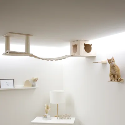 Arbre à chat mural en bois clair avec pont suspendu, cube avec ouvertures tête de chat et plateformes murales, un chat roux assis sur une étagère.