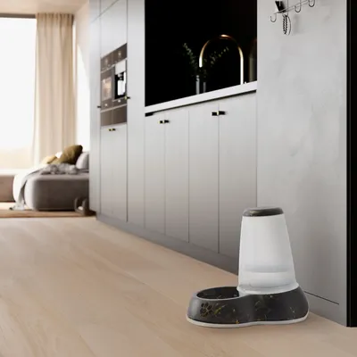 Automatischer Wasserspender mit schwarzer Basis und goldenen Akzenten, auf hellem Holzboden in moderner Küche platziert.