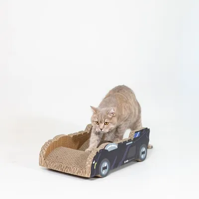 Chat beige sur un griffoir en carton en forme de voiture noire, surface ondulée visible. Aucun texte ou marque apparente.