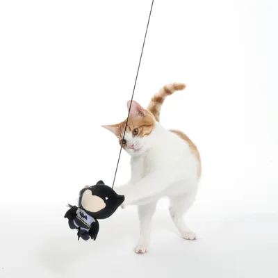 Toy on string with Batman design, played with by cat. Shows product in use.