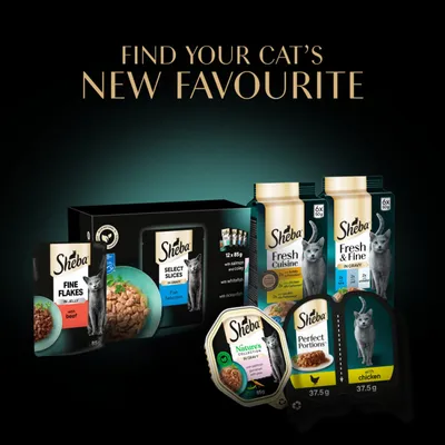 Sheba Cat Food: Fine Flakes with Beef, Select Slices Fish Selection, Fresh Cuisine, Fresh & Fine, Nature's Collection with Salmon, Perfect Portions with Chicken. Text: Find your cat’s new favourite. Sheba Cat Food: Fine Flakes with Beef, Select Slices Fish Selection, Fresh Cuisine, Fresh & Fine, Nature's Collection with Salmon, Perfect Portions with Chicken. Text: Find your cat’s new favourite.
