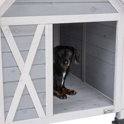 Gråt hundehus i træ med hvid ramme. En lille sort hund sidder indeni. Logoet 'Modern Living' synligt nederst til højre.