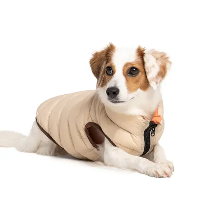 Nomad Tales Bloom hundefrakk puffer, oransje/beige